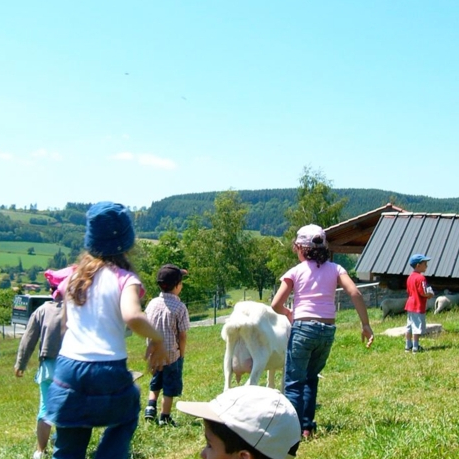 Vacances à la Ferme des Loupiots