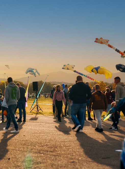 Festival International de l'Air : Des cerfs-volants devant un public