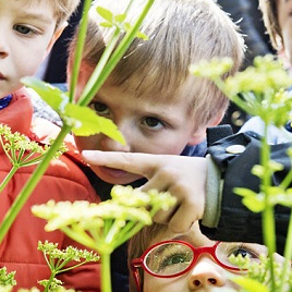 Atelier "Les insectes jardiniers" à Little Villette