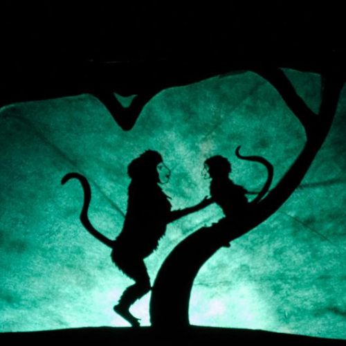 La petite musique de Makao