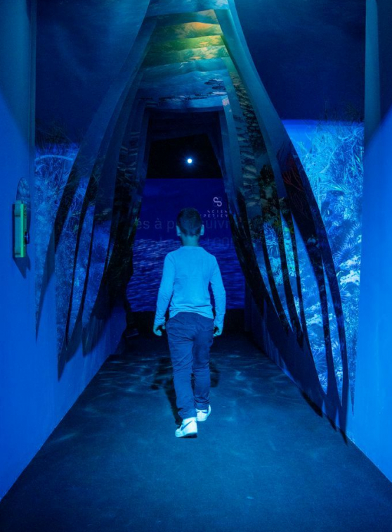 Science Expériences Bordeaux