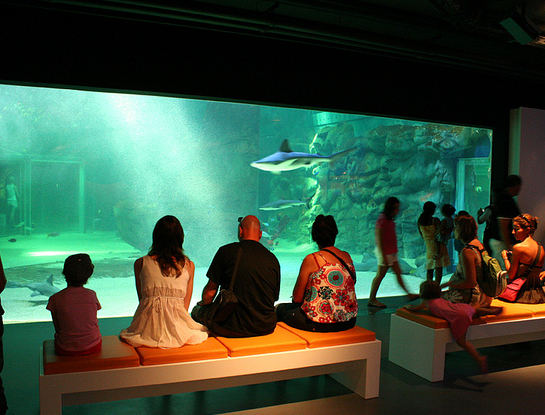 Seaquarium du Grau-Du-Roi