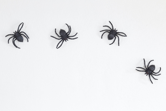 Halloween : des idées pour une décoration monstrueusement réussie - Araignées