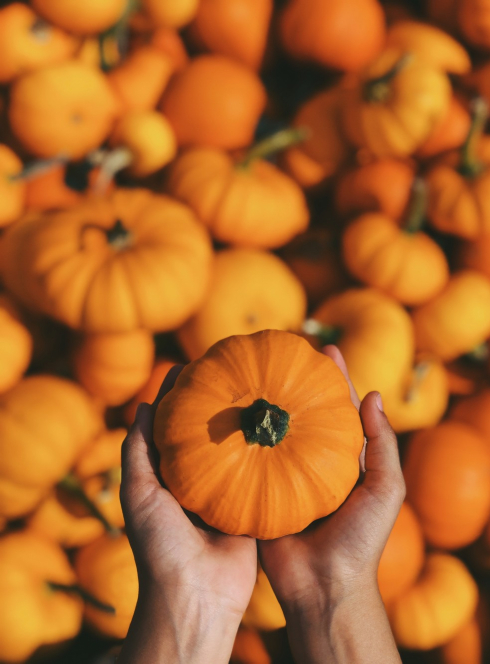 Fête de la Courge Châteauneuf