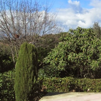 Parc Exflora