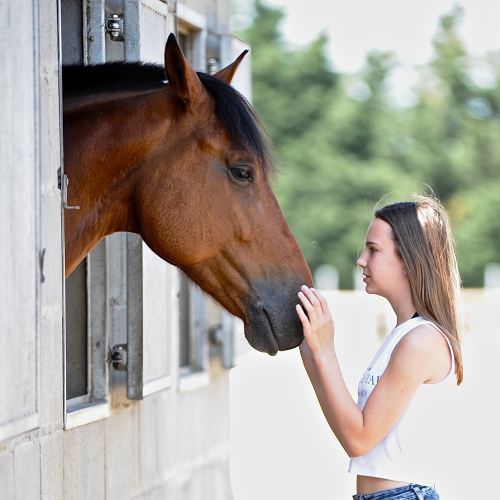 Stage Alezane 6-12 ans