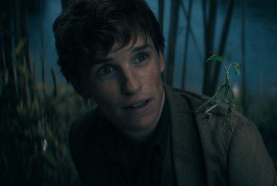 Les Animaux Fantastiques 3 : Les Secrets de Dumbledore - Norbert