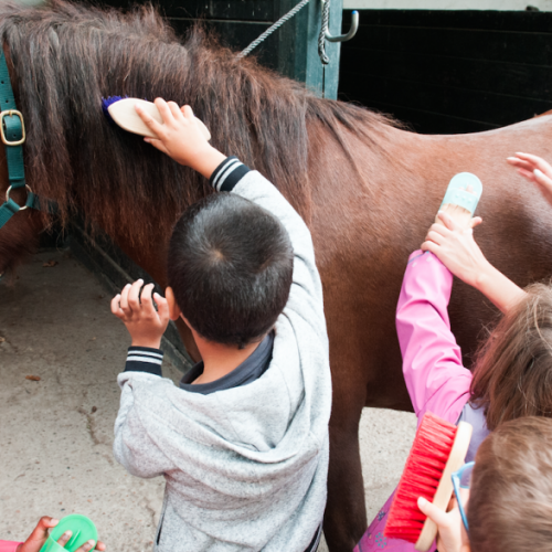 Fête du Cheval au Bouscat - Activités enfants