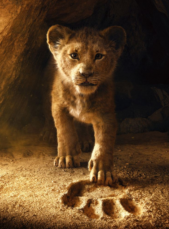 Le Roi Lion, le film : première image