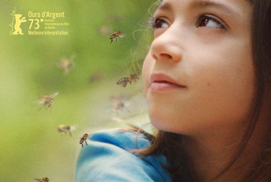 20 000 espèces d'abeilles : affiche