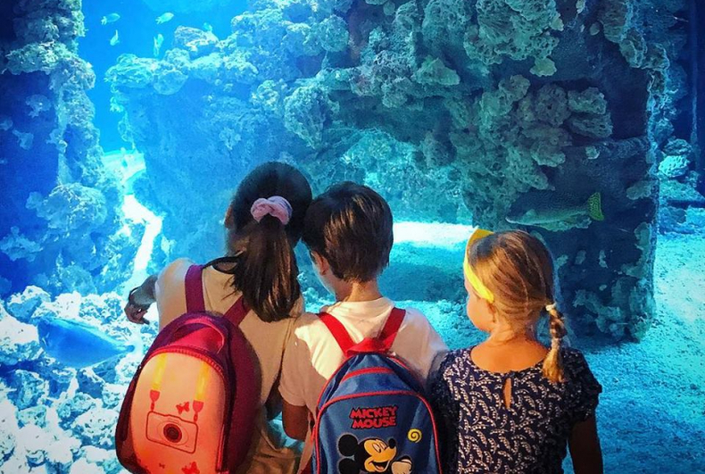 Top 10 des aquariums à visiter en famille en France Citizenkid