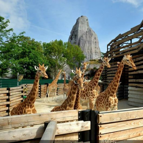 Parc Zoologique de Paris