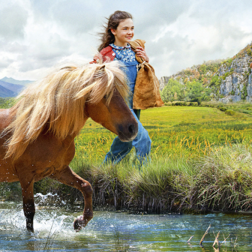 Poly : affiche du film