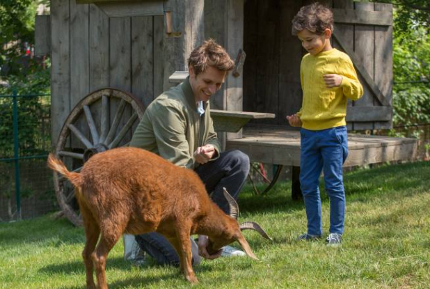 Jardin d’Acclimatation : ferme