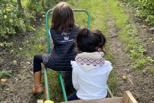Ferme Placier : enfants ramassent pommes à Chasseloire