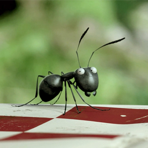 DVD Minuscule_jeu-concours@Edition Montparnasse