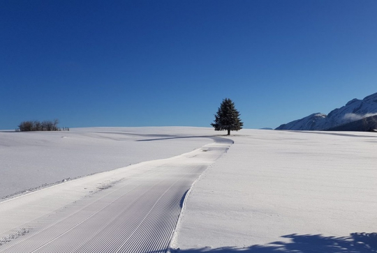 Où faire du ski de fond autour de Lyon ? : Plateau de Solaison