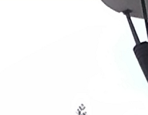 Chasse aux oeufs de Pâques à Bordeaux - enfant