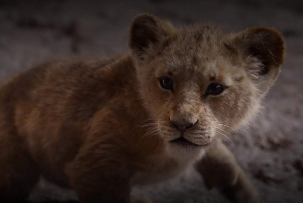 Le Roi Lion, le film - Simba dans les gorges