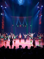 Le Grand Cirque de Noël de Toulouse : présentation