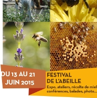 Le festival de l'abeille 2015