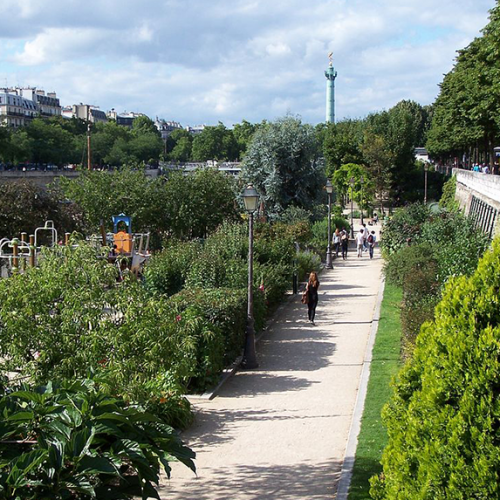 Jardin du Port de l'Arsenal : parc en famille à Paris