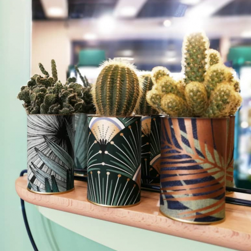 Bobart' Objets et Curiosités - Cactus