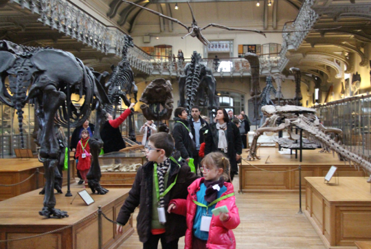 Musée d'Histoire naturelle de Paris