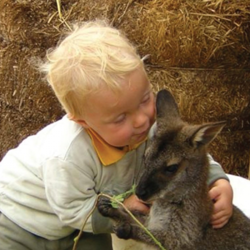 Parc pédagogique de Saint-Nectaire