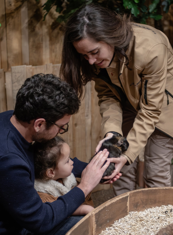 Le Monde de Noé Lille : carresse