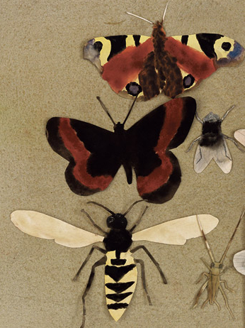 Expo Fotokino Norrsken Lueurs du nord