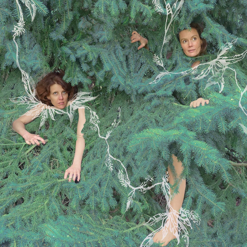 Le langage des oiseaux