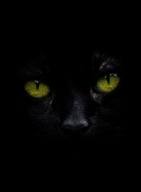 J'y crois j'y crois pas