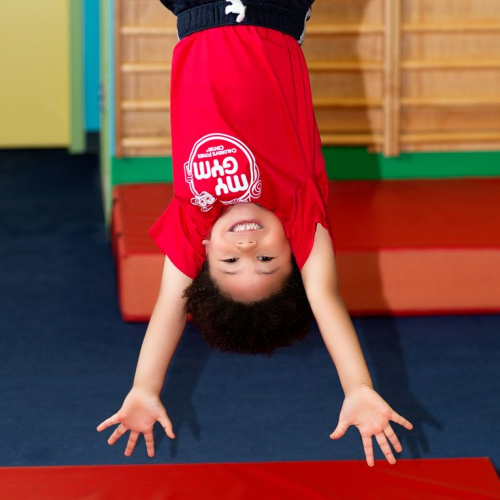 cirque my gym