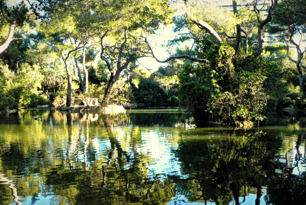 Le lac au parc Pastré