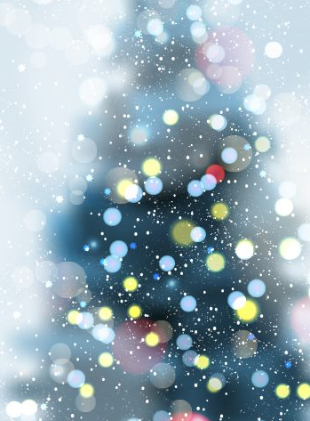 Marché de Noël 2018 du MHSC