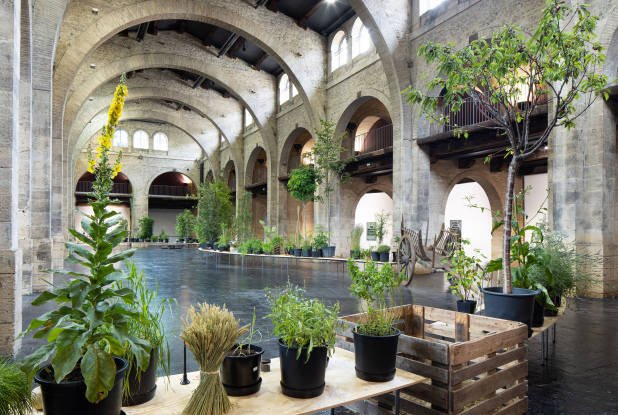 expo ruth ewan - hall plante