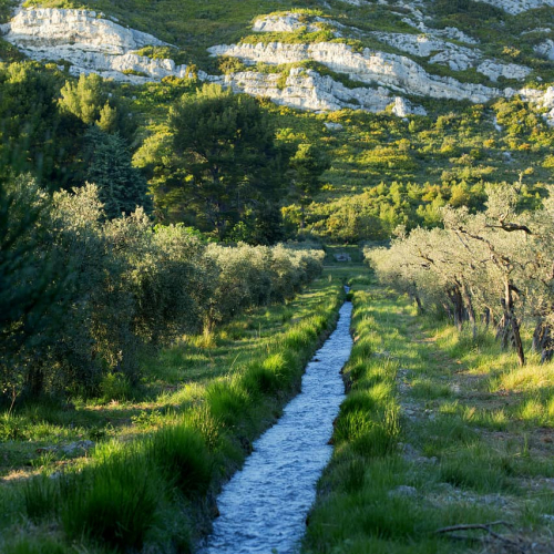 Département des Bouches-du-Rhône
