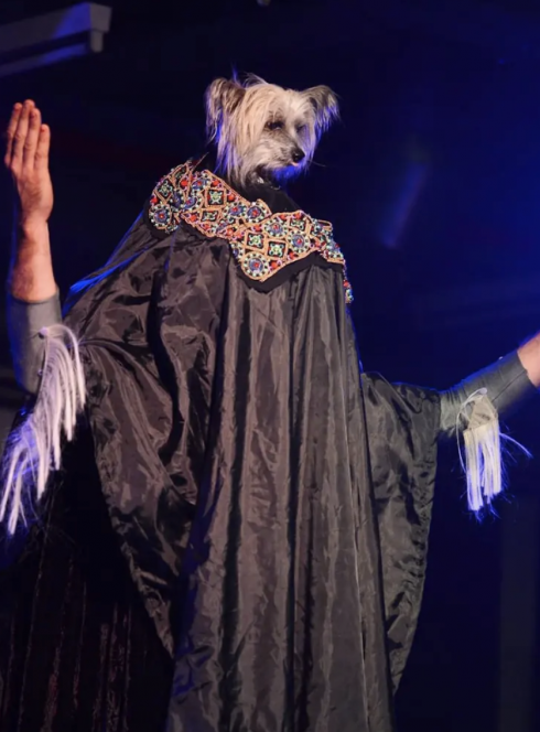 C'est gratos - Collectif Scratch