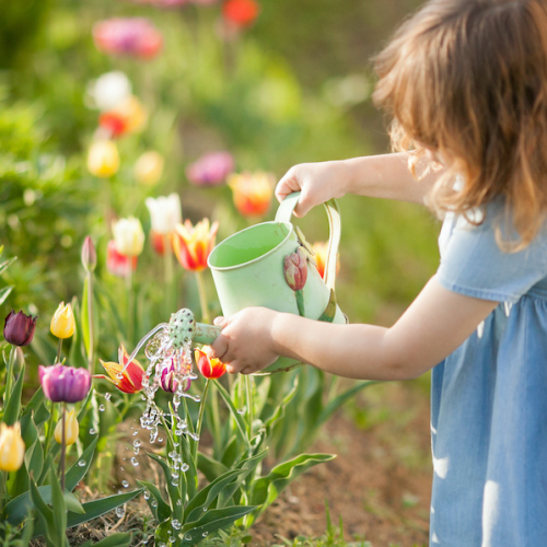 Rendez-vous aux jardins 2022 dans la région de Nantes