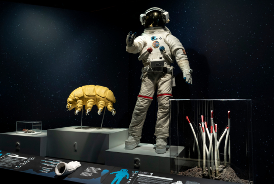 Vacances de Toussaint 2025 au musée des Confluences