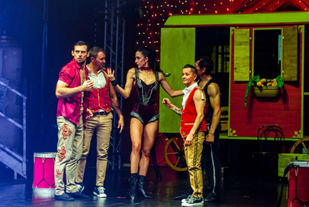 Sacré Cirque 3 - les artistes