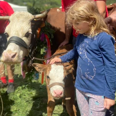 La Ferme du Mercantour