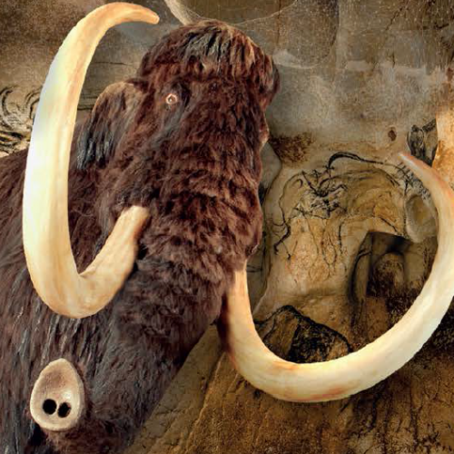 Expo Derrière la paroi la grotte Chauvet