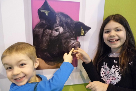 salon agriculture 2013