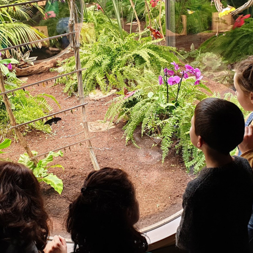 Les vacances à Micropolis