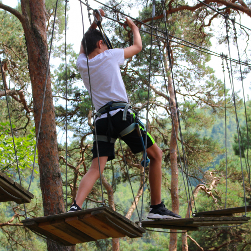 Saint-Nectaire Aventures : accrobranche près de Clermont