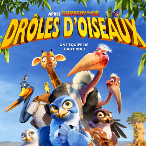 Droles d'oiseaux