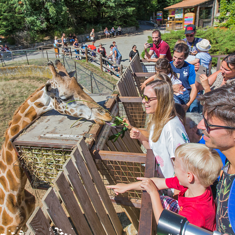 Week-end des métiers du zoo au Safari de Peaugres