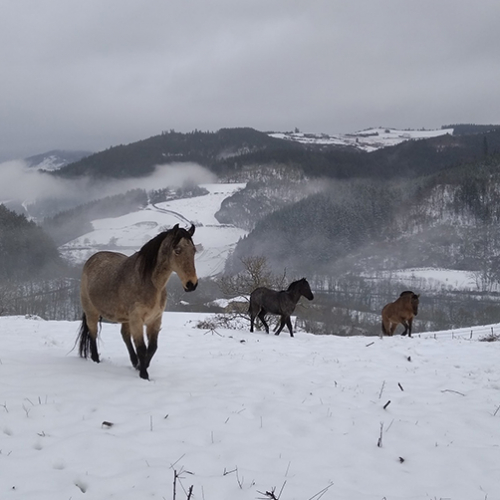 La Ferme de la Vieille Route